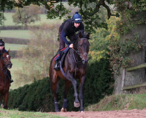 Party Business back in the gallops1 Party Business taking his first run in the gallops following his fracture
